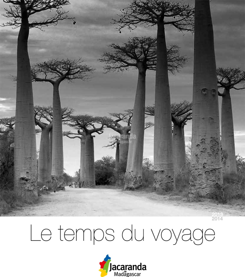 Vivre sur les ruines d'un monde perdu. Immersion dans « La forêt » de Jean  Hegland - Commission Justice & Paix - Belgique francophone