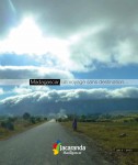 brochure-jacaranda-1